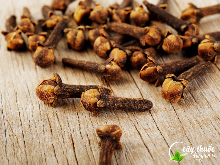 Bài thuốc trị đau chân răng từ nụ đinh hương